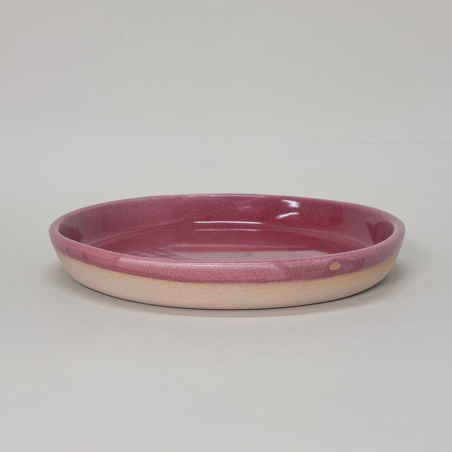 Dinner Plate