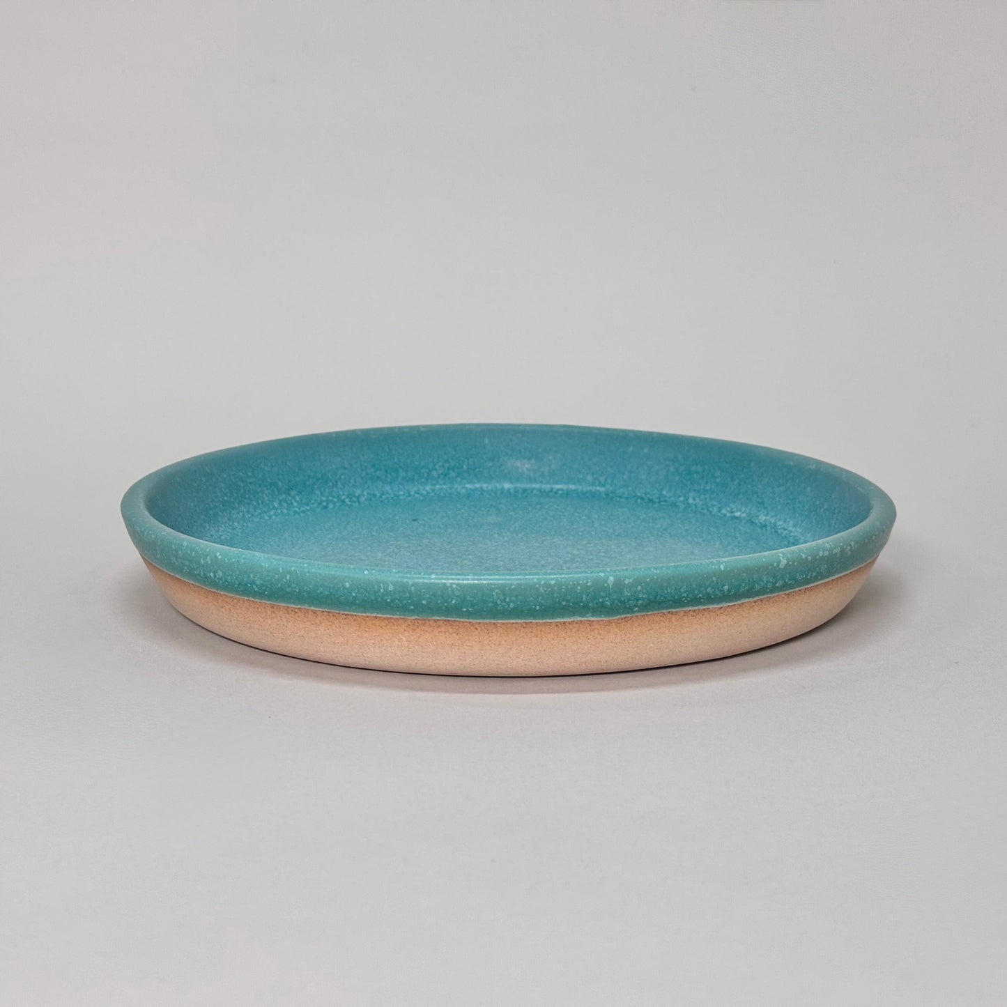 Dinner Plate